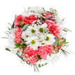 Inspired by the understated elegance of Winchmore Hill, this bouquet is a luminous celebration of spring-meticulously arranged for those who cherish refined, joyful beauty. At its core, crisp white daisies with golden-lime centers radiate optimism, framed by plush coral-pink carnations whose soft, ruffled petals exude warmth and gentle happiness. Wisps of baby's breath (gypsophila) meander amid the blooms, adding a dreamlike lightness much like the first warm breeze across The Green in April. Accents of blush-tinted alstroemeria and slender eucalyptus give fragrant freshness and nuanced tone, blending harmoniously within the circular composition. The bouquet feels both tranquil and exuberant, echoing the gestures of wholehearted celebration or affection that define gatherings in Winchmore Hill. Crafted by local florists with a passion for artistic detail, this arrangement is perfect for birthdays, thank-yous, or simply brightening a home on Station Road. Every petal, stem, and leaf is intentionally placed to create a moment of serene delight-a reflection of the care and community spirit found across this charming corner of North London.