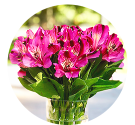Same day Flowers Winchmore Hill